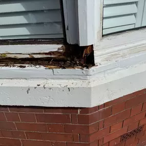 Bild von LDP Restorations