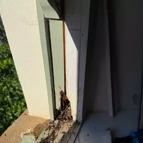 Bild von LDP Restorations