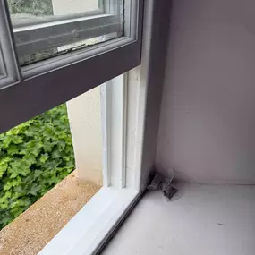 Bild von LDP Restorations