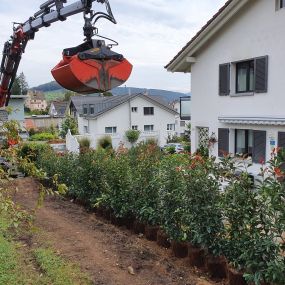 Bild von MK Gartenbau GmbH