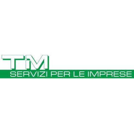 Logo van Tirinzoni Matteo - Carpenteria generale e montaggi