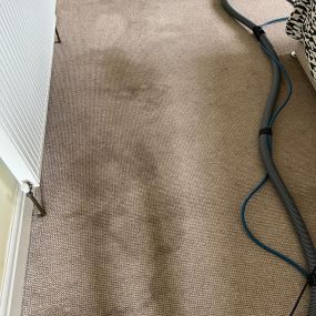 Bild von The Carpet Cleaning Solutions