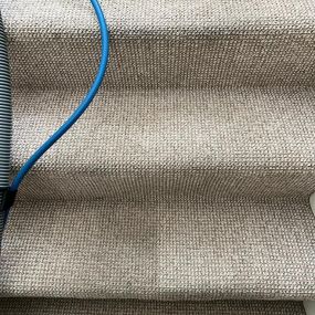 Bild von The Carpet Cleaning Solutions