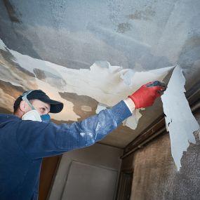 Bild von PuroClean Property Restoration Services