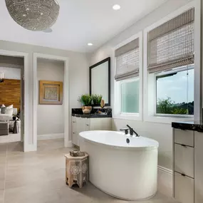 Luxe primary bathrooms