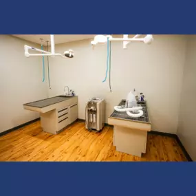 Dogwood Trails Animal Hospital dental suite, vet hospital in Bentonville, AR!