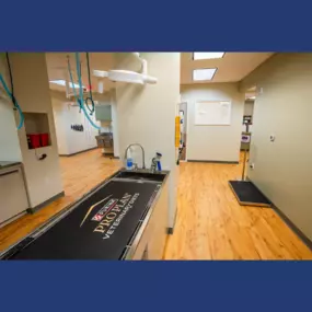 Dogwood Trails Animal Hospital treatment room, vet hospital in Bentonville, AR!