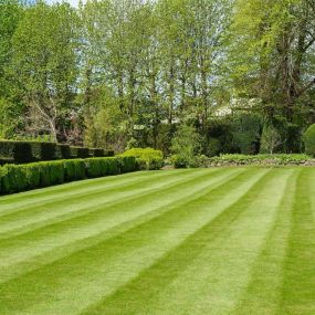 Lawn Mowing