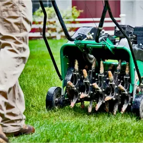 Aeration and Overseeding