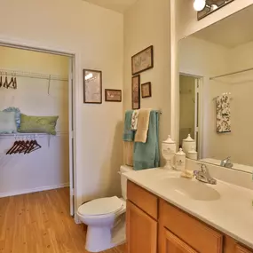 Bathroom with walk-in closet