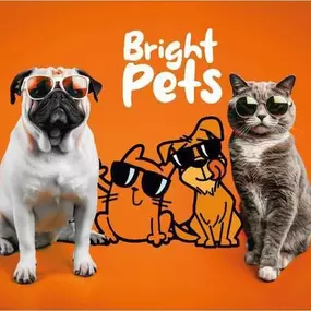 Bild von Bright Pets Ltd