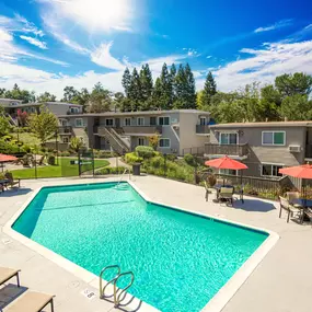 Resort-Style Pool