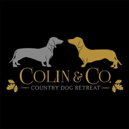 Logo van Colin & Co.