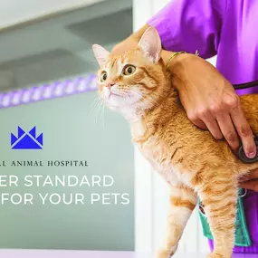 Bild von Imperial Animal Hospital