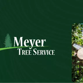 Bild von Meyer Tree Service