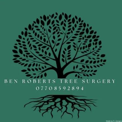 Logotipo de Ben Roberts Tree Surgery and Landscaping