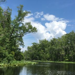 Black Creek, Green Cove Springs