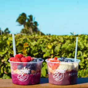 Acai Bowls Fresh Made to Order at 3Natives