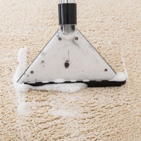 Atlas Cleaning Service offers Scotchgard™ Treatment for Your Carpet in Flint, MI