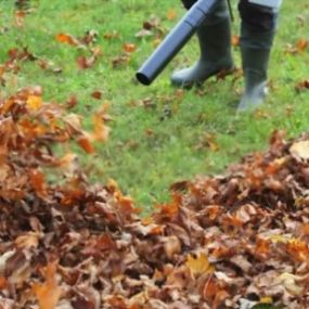 Yard Clean-up