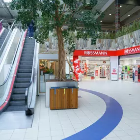 ROSSMANN