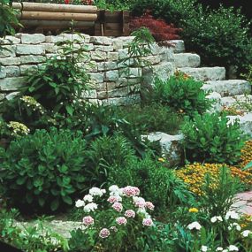 Bild von Garten- und Landschaftsbau Liesenberg Köln