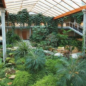 Bild von Garten- und Landschaftsbau Liesenberg Köln