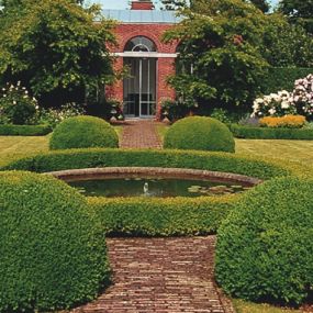 Bild von Garten- und Landschaftsbau Liesenberg Köln