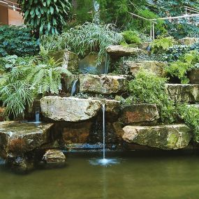 Bild von Garten- und Landschaftsbau Liesenberg Köln