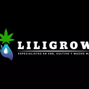 Bild von Liligrow