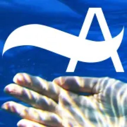 Logo fra Atlantis Swimming Pools