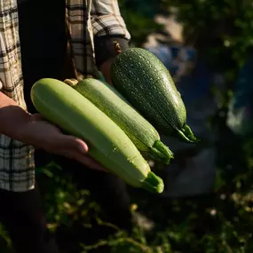 Bild von Les Récoltants Bordeaux – Cuisine Locale Directe du Producteur