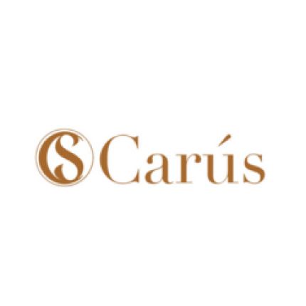 Logo fra Espacio Carús