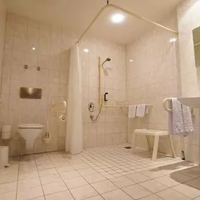 Family suite bathroom wheelchair accessible