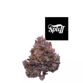 Bild von Spliff Nation Dispensary