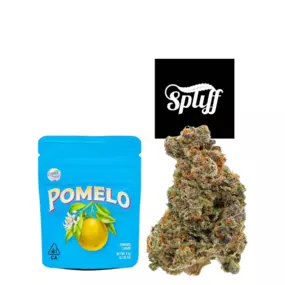 Bild von Spliff Nation Dispensary