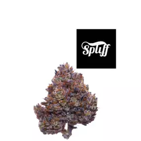 Bild von Spliff Nation Dispensary