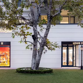 Bild von Louis Vuitton Glendale Americana