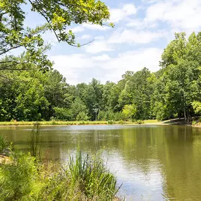 Bild von River Oaks by Stanley Martin Homes