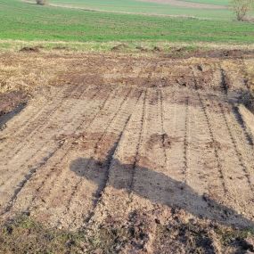 Bild von Niklas Sobotta Gärten, Landschaften, Schwimmteiche