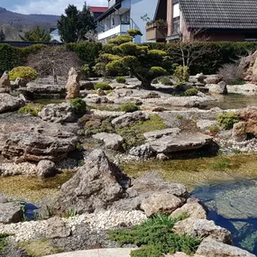 Bild von Niklas Sobotta Gärten, Landschaften, Schwimmteiche GmbH