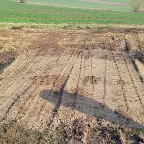 Bild von Niklas Sobotta Gärten, Landschaften, Schwimmteiche GmbH