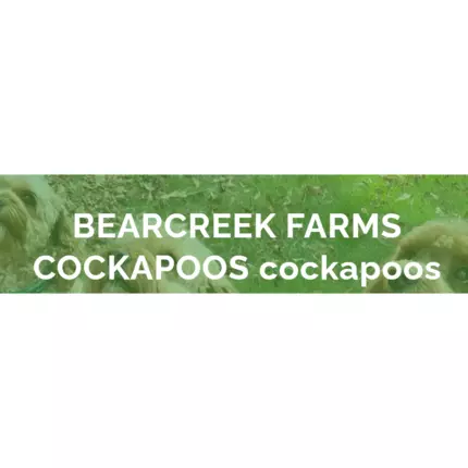 Logo da Bear Creek Farms Cockapoos