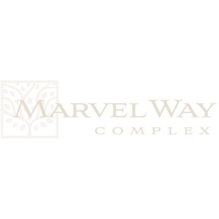 Logo da MARVEL WAY PHASE 1