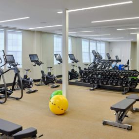 a gym with cardio machines and weights and a yellow ball on the floor