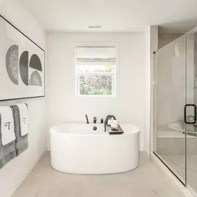 Spa-like primary bathrooms