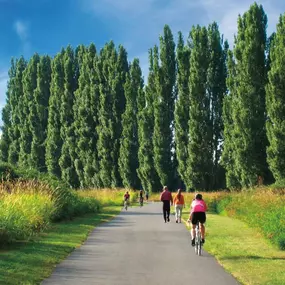 The nearby Sammamish River Trail is perfect for biking, walking or jogging