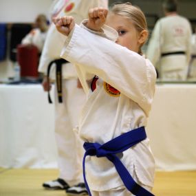 Bild von Asheville Academy of Taekwondo