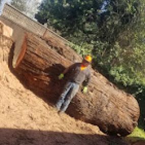 Bild von Chris Keller's Tree Service