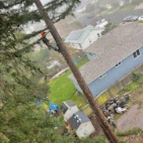 Bild von Chris Keller's Tree Service